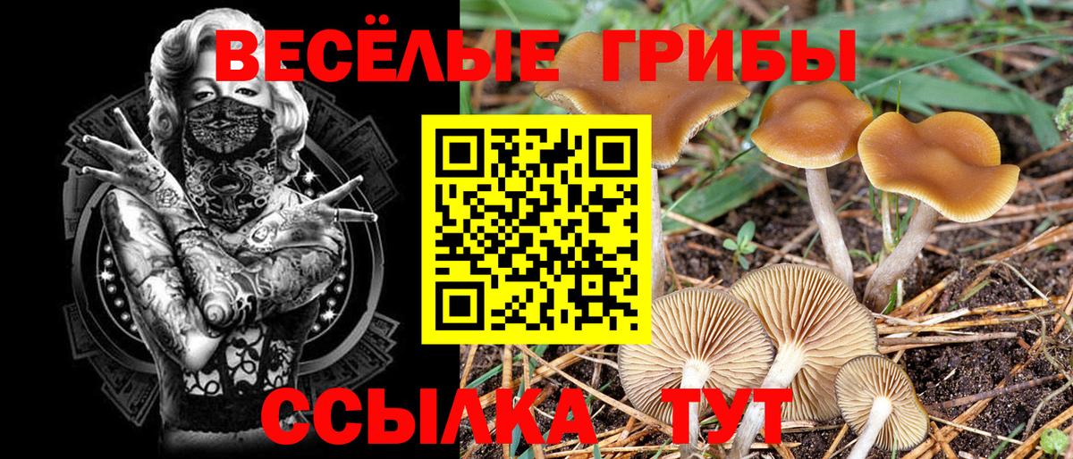 Канск  Галлюциногенные грибы ЛСД  Вход с VPN 