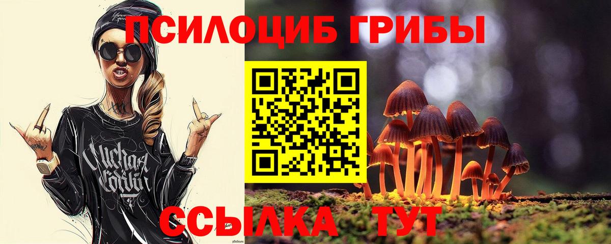 Галлюциногенные грибы мухоморы Канск